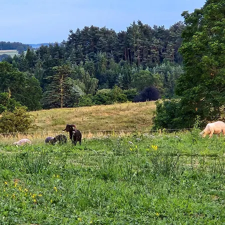 Windale At Wetheral Great Salkeld